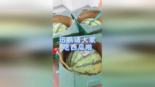 鹏瓜怎么吃,教你轻松解锁吃法秘诀