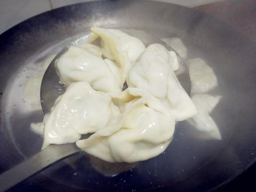 吃葫芦瓜包饺子,传统与创新的美味融合