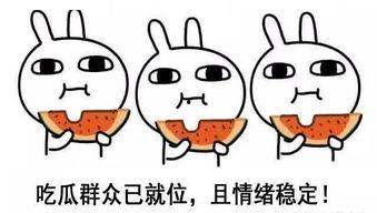 吃瓜人笔趣阁,揭秘网络文学世界的趣味与魅力