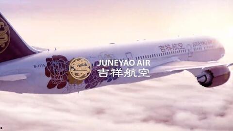 吃瓜航空公司,一场空中美食盛宴的奇幻之旅