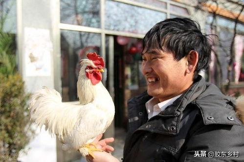 大衣哥吃瓜的视频,揭秘娱乐圈幕后故事