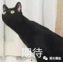 神剧吃瓜哥,揭秘娱乐圈幕后风云