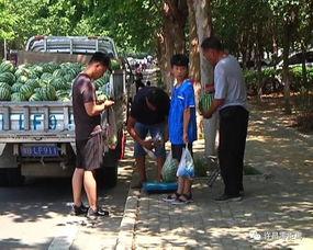 护城河吃瓜群众