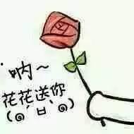 花花吃瓜表情,揭秘网络潮流背后的趣味与思考