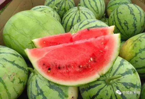 taipei在线观看今日吃瓜,台北街头热辣事件，一起在线揭秘