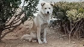 猫吃贝贝瓜,揭秘猫对贝贝瓜的疯狂喜爱