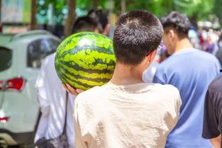 吃瓜别人我图,我图生成背后的秘密