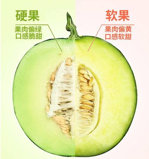 吃静冈网纹蜜瓜,甜蜜诱惑，尽享夏日清新口感