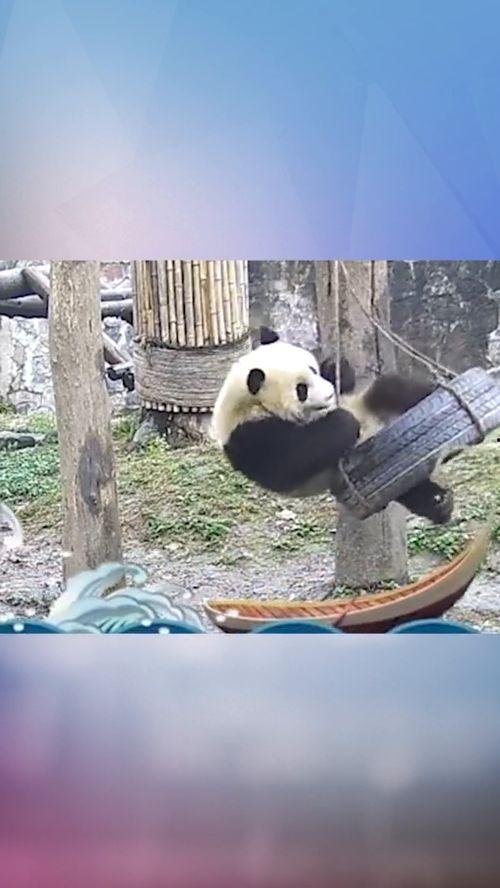 自由自在吃瓜,畅享吃瓜时光