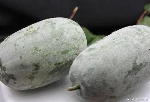 一线吃瓜站,娱乐圈幕后风云