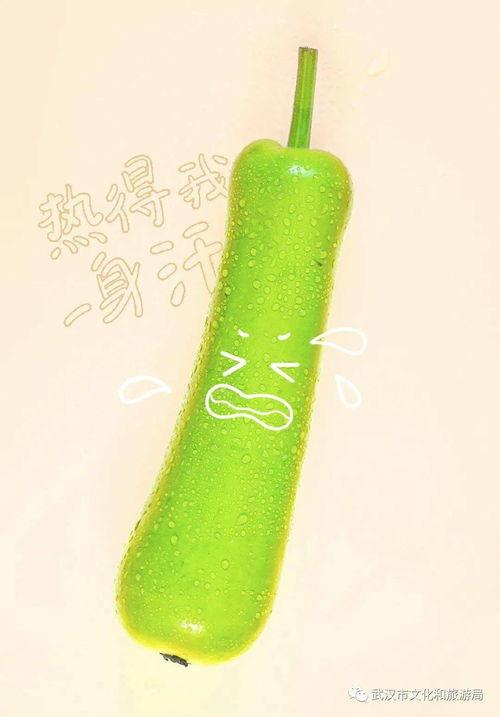 武汉校园吃瓜,揭秘校园里的那些事儿