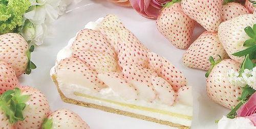 吃瓜纯白,揭秘网络红人的幕后故事