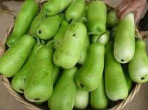 咳嗽吃葫芦瓜可以吗,缓解咳嗽的天然良方