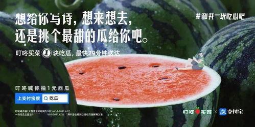 吃瓜文案总结,吃瓜群众眼中的明星幕后故事