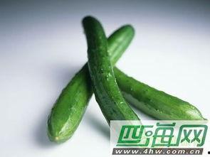 刺瓜经期可以吃