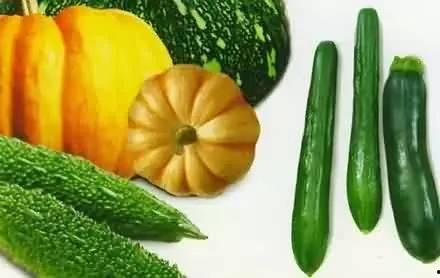 吃瓜复试是什么,一场别开生面的校园招聘新趋势