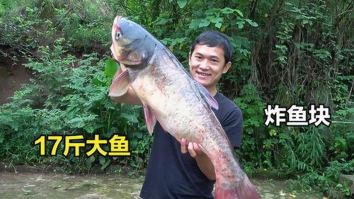 吃瓜炸鱼,探寻美食与娱乐的完美融合