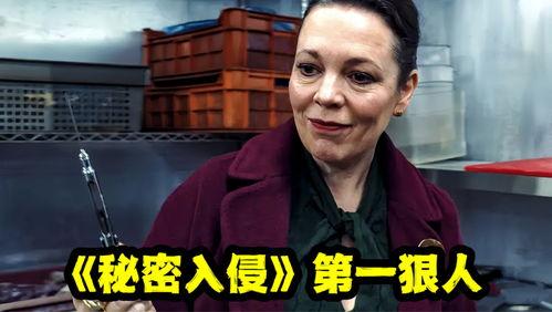 吃瓜免费看主页,带你畅游娱乐资讯海洋