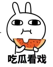 偶尔吃自己的瓜,偶尔自食其果的趣味人生