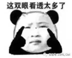 傻瓜在吃瓜,一场欢乐的误会之旅