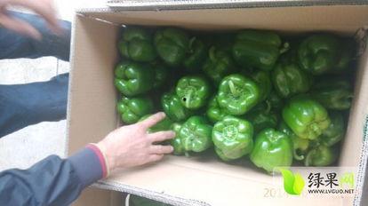 永年吃瓜圆圆,探寻地方特色美食之旅