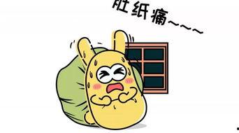 吃瓜群众的ppt,吃瓜群众视角下的PPT解析与启示