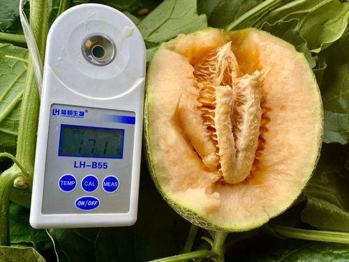 随机吃瓜合集,揭秘娱乐圈那些不为人知的幕后故事