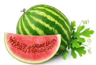 吃瓜怎么办,轻松应对网络八卦，保持理智与清醒